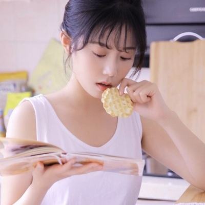老鼠家族手机游戏下载